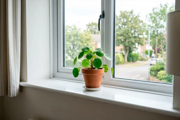 Подоконники Витраж Стандарт